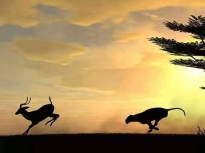 Il leone e la&nbsp;gazzella